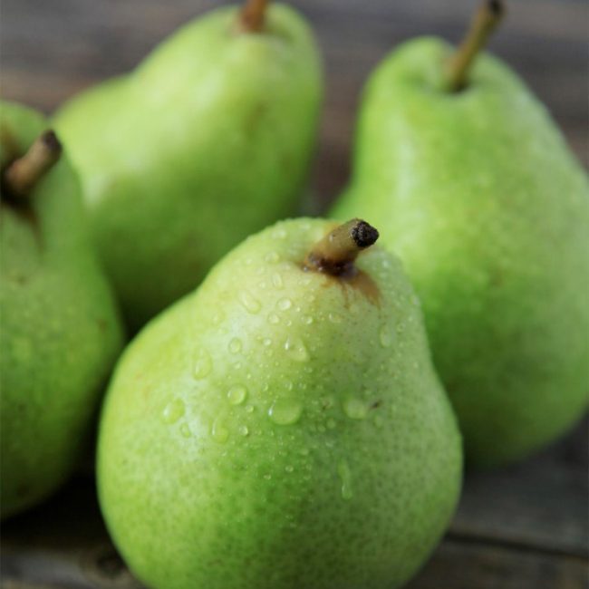 Photography - Pears